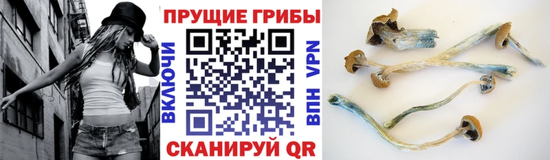 Псилоцибиновые грибы MAGIC MUSHROOMS  Пойковский 