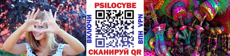 Псилоцибиновые грибы Psilocybe Пойковский