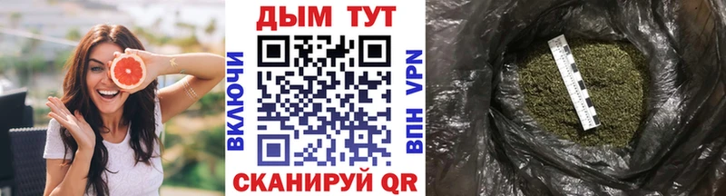 Конопля гибрид Пойковский